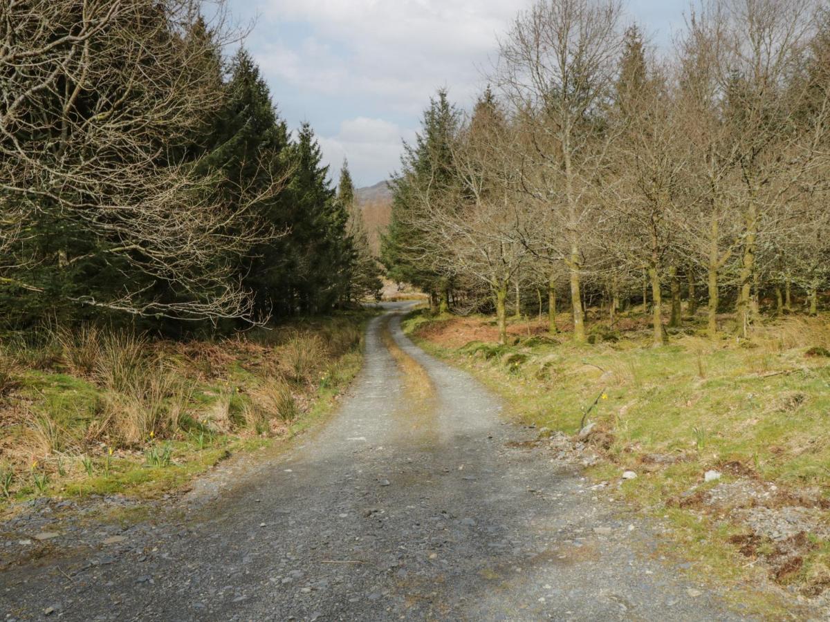 Brithgwm Canol Dolgellau Zewnętrze zdjęcie